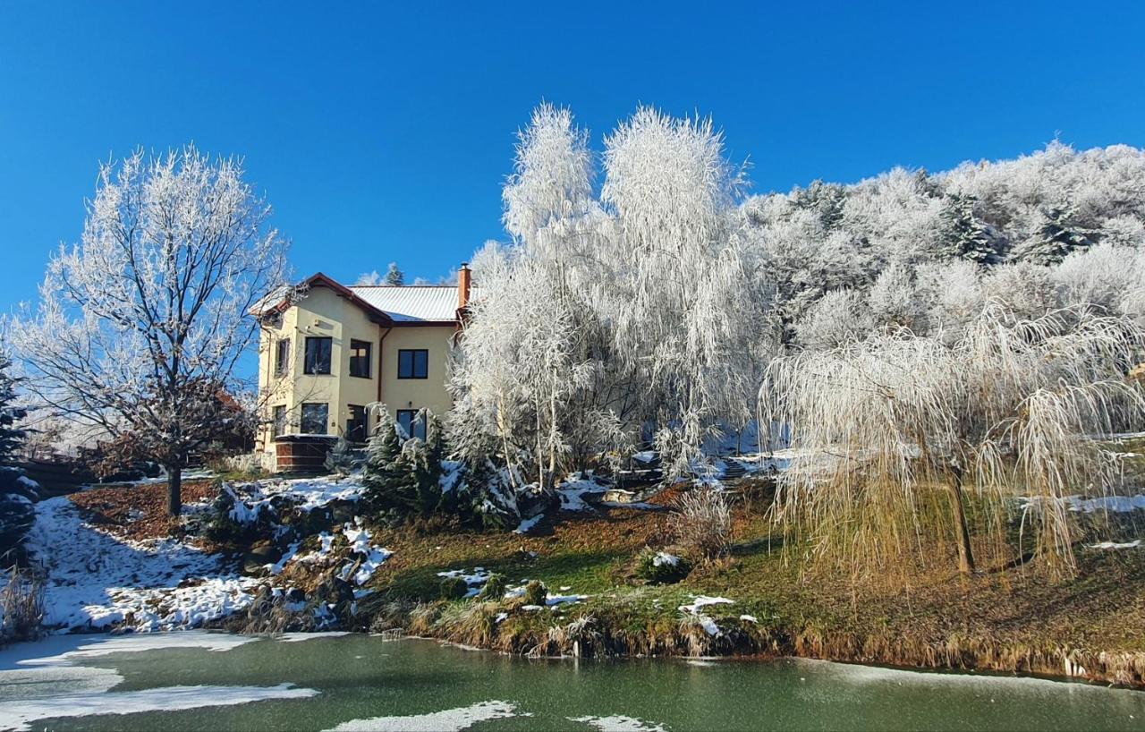 Trovanti Apartment Feleacu Dış mekan fotoğraf