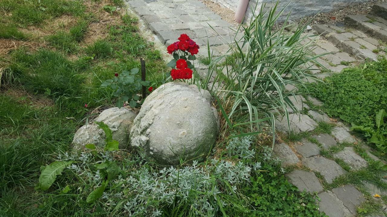 Trovanti Apartment Feleacu Dış mekan fotoğraf